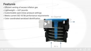 Precision Tool Technologies: Pressure Relief Valves — RVAP
